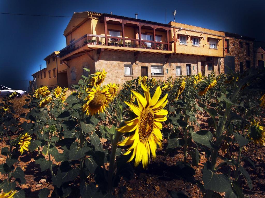 La Antigua Vaqueria Guest House Cuenca  Ngoại thất bức ảnh